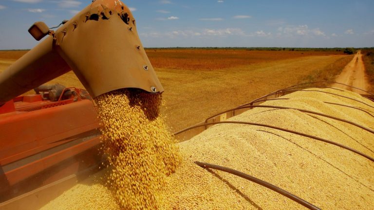 Pecuária sustentável com soluções biológicas AGROMAIA